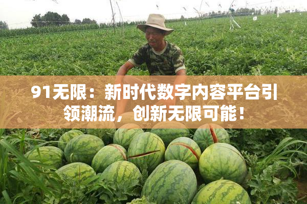 91无限：新时代数字内容平台引领潮流，创新无限可能！
