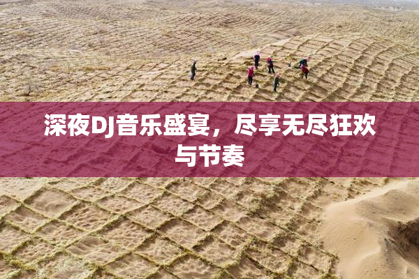 深夜DJ音乐盛宴，尽享无尽狂欢与节奏
