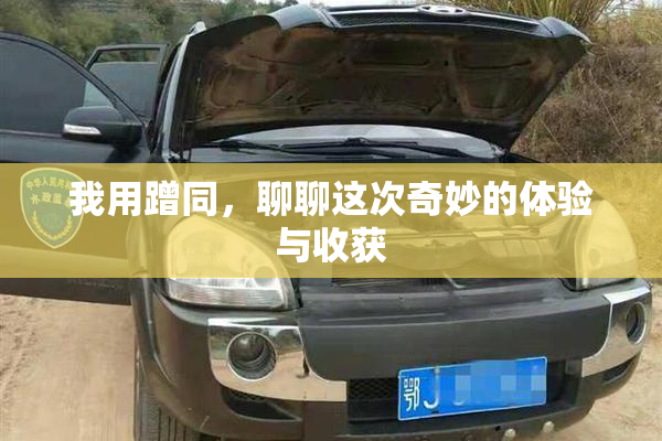 我用蹭同，聊聊这次奇妙的体验与收获