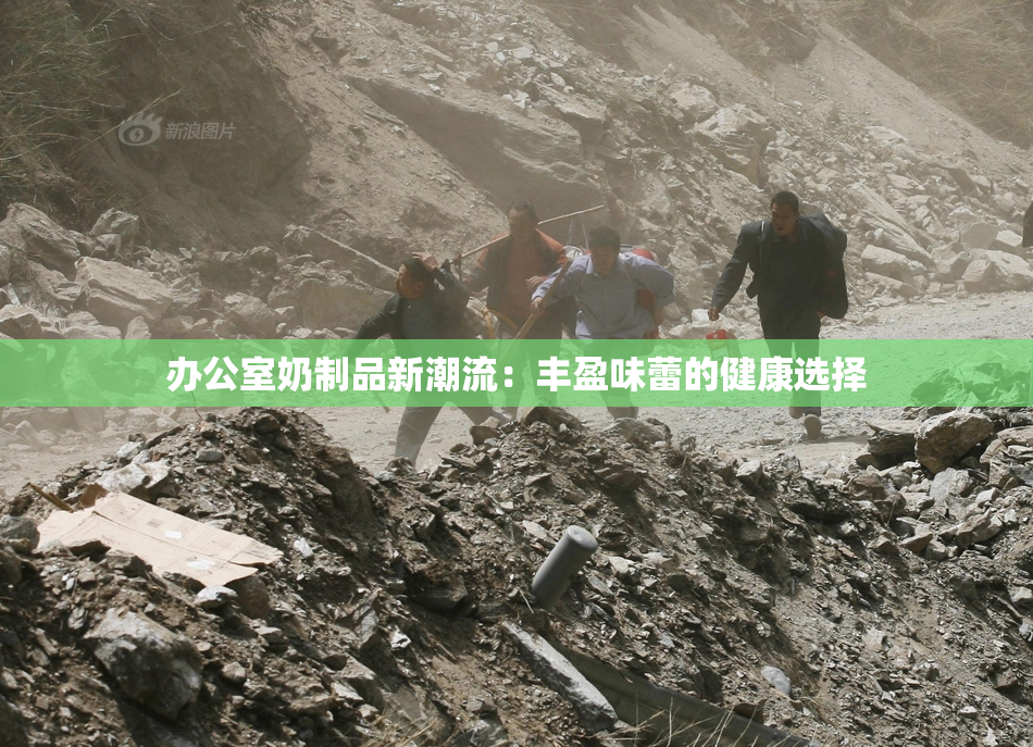 办公室奶制品新潮流：丰盈味蕾的健康选择