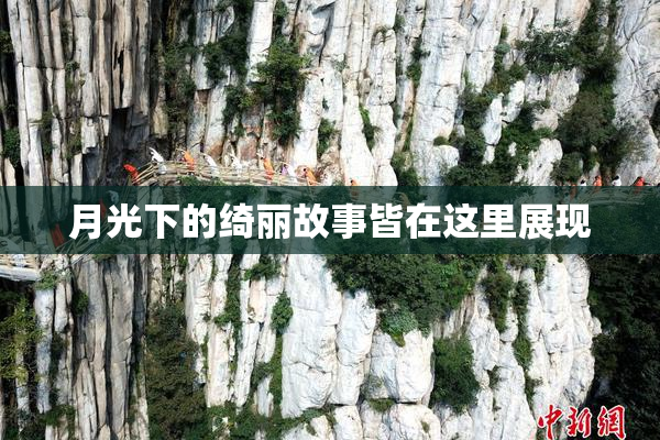 月光下的绮丽故事皆在这里展现