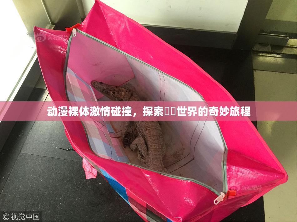 动漫裸体激情碰撞，探索❌‌世界的奇妙旅程