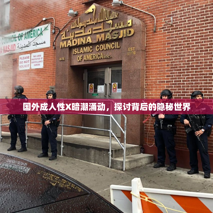 国外成人性X暗潮涌动，探讨背后的隐秘世界