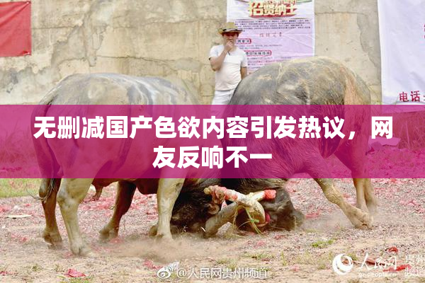 无删减国产色欲内容引发热议，网友反响不一