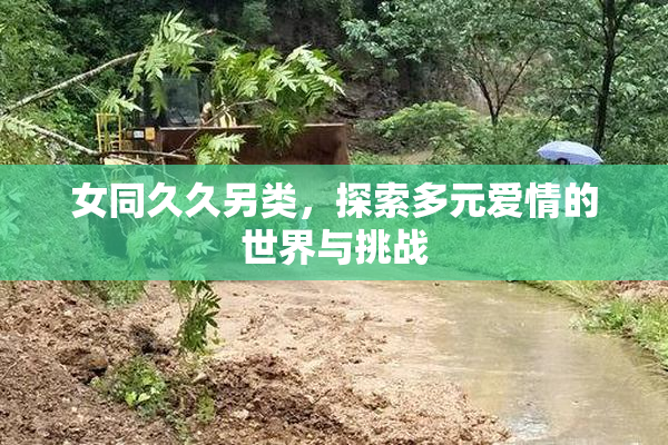 女同久久另类，探索多元爱情的世界与挑战