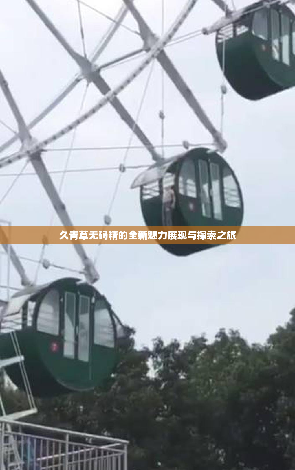 久青草无码精的全新魅力展现与探索之旅