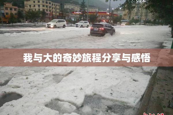 我与大的奇妙旅程分享与感悟