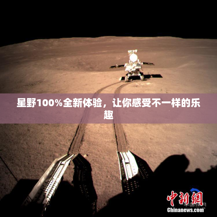 星野100%全新体验，让你感受不一样的乐趣