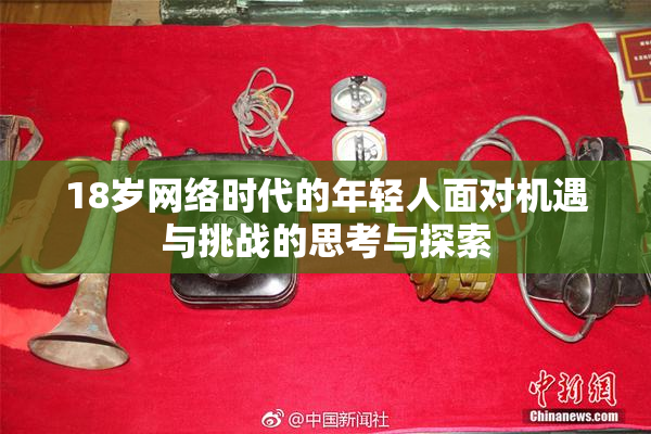 18岁网络时代的年轻人面对机遇与挑战的思考与探索