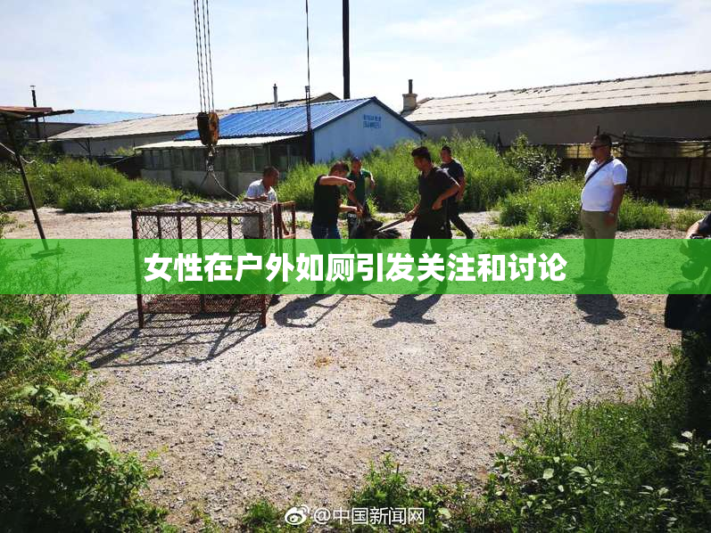 女性在户外如厕引发关注和讨论