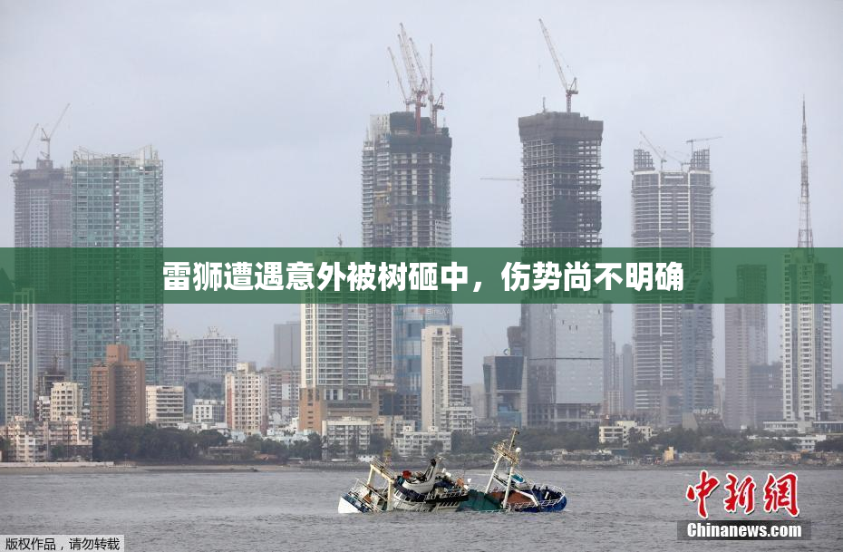 雷狮遭遇意外被树砸中，伤势尚不明确