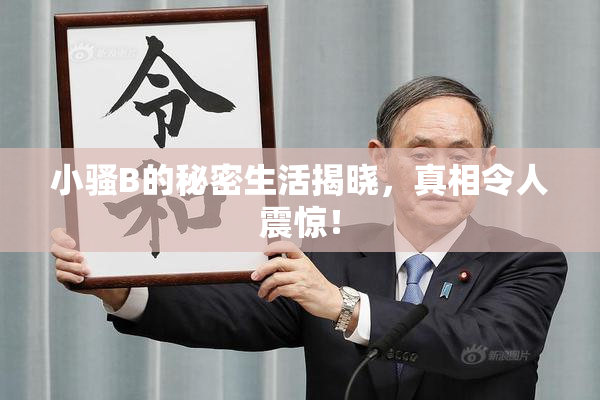 小骚B的秘密生活揭晓，真相令人震惊！