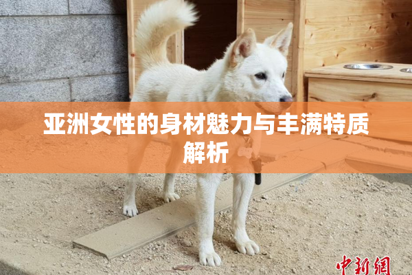 亚洲女性的身材魅力与丰满特质解析