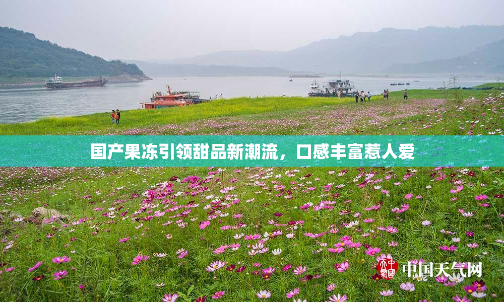 国产果冻引领甜品新潮流，口感丰富惹人爱