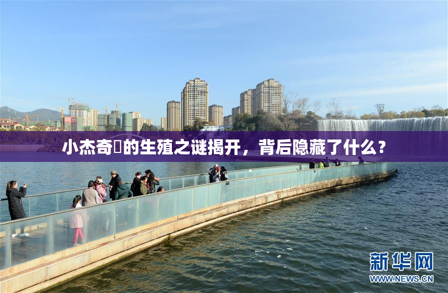 小杰奇犽的生殖之谜揭开，背后隐藏了什么？