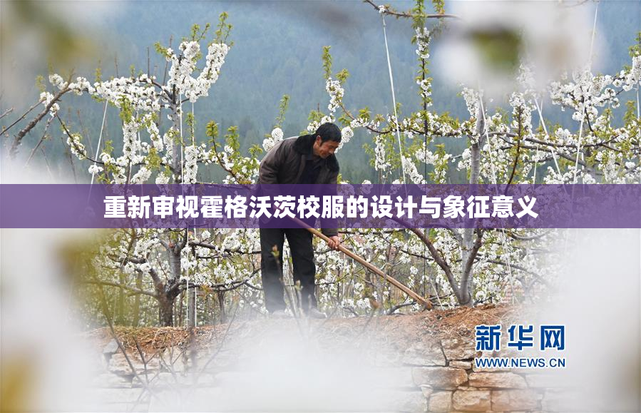重新审视霍格沃茨校服的设计与象征意义