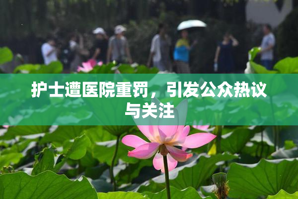 护士遭医院重罚，引发公众热议与关注