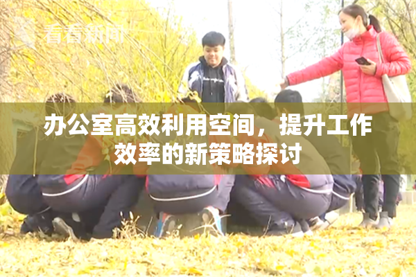 办公室高效利用空间，提升工作效率的新策略探讨