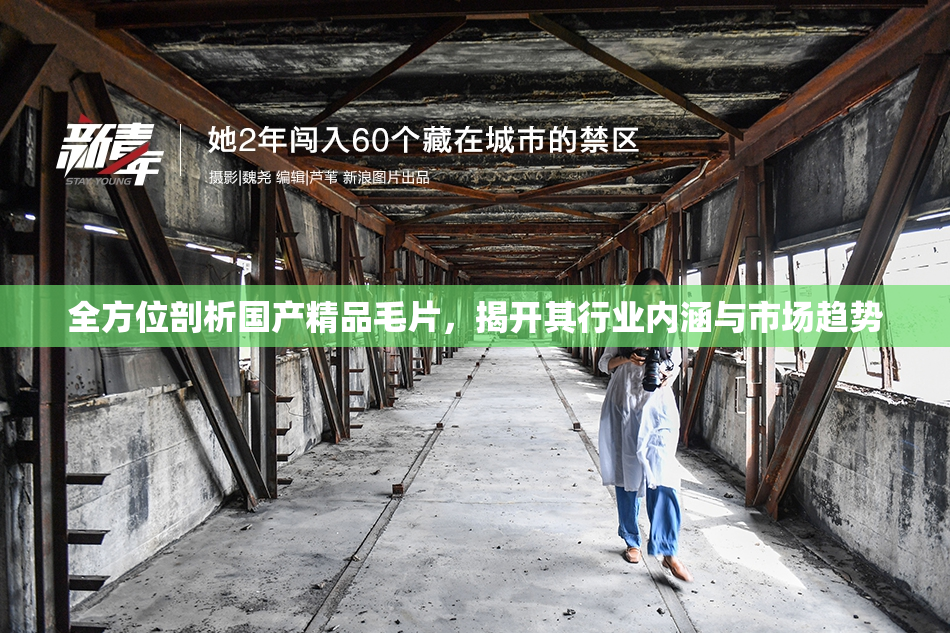 全方位剖析国产精品毛片，揭开其行业内涵与市场趋势