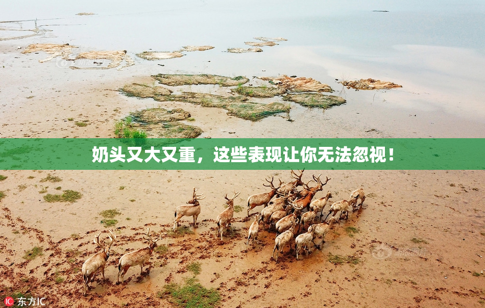 奶头又大又重，这些表现让你无法忽视！