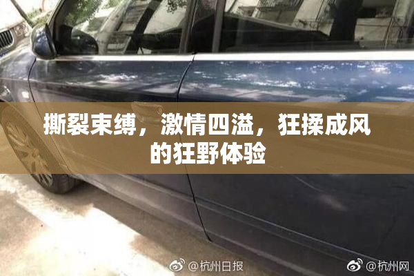 撕裂束缚，激情四溢，狂揉成风的狂野体验