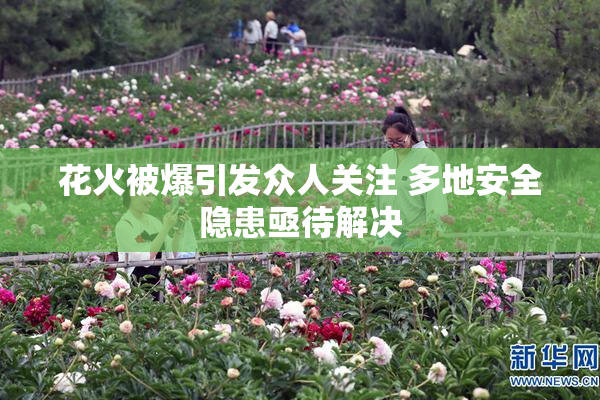 花火被爆引发众人关注 多地安全隐患亟待解决