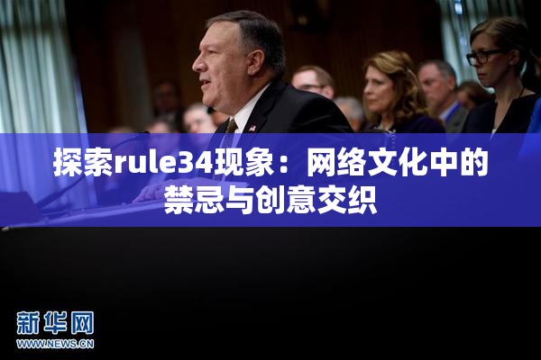 探索rule34现象：网络文化中的禁忌与创意交织