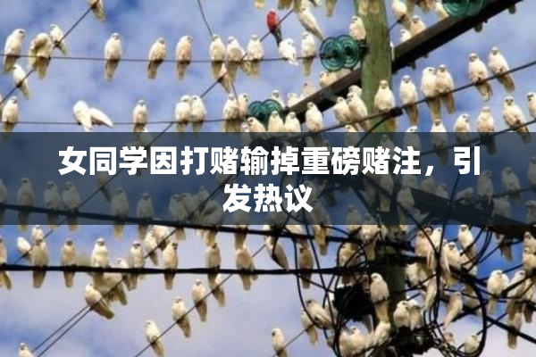 女同学因打赌输掉重磅赌注，引发热议
