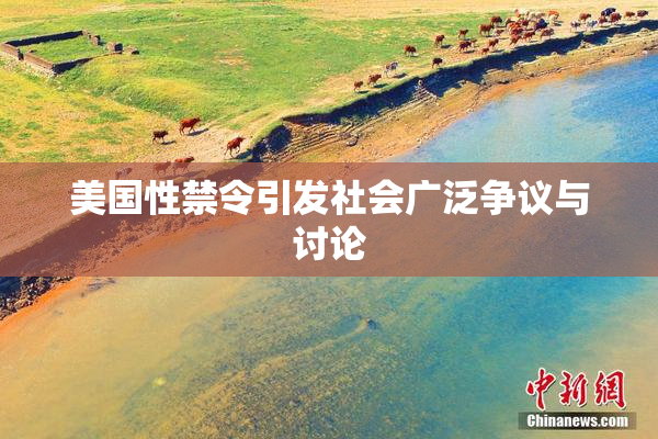 美国性禁令引发社会广泛争议与讨论