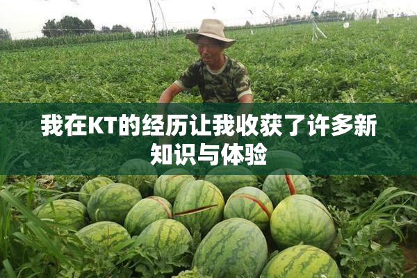 我在KT的经历让我收获了许多新知识与体验