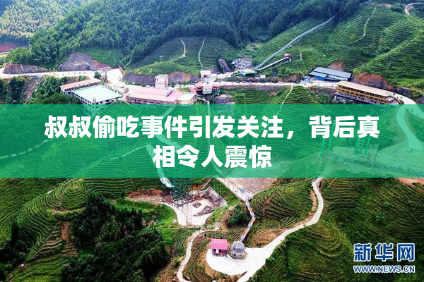 叔叔偷吃事件引发关注，背后真相令人震惊