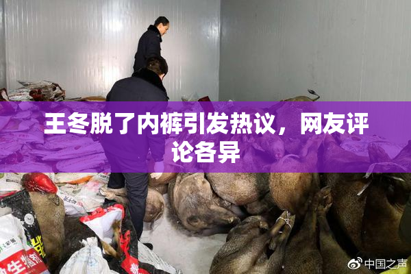 王冬脱了内裤引发热议，网友评论各异