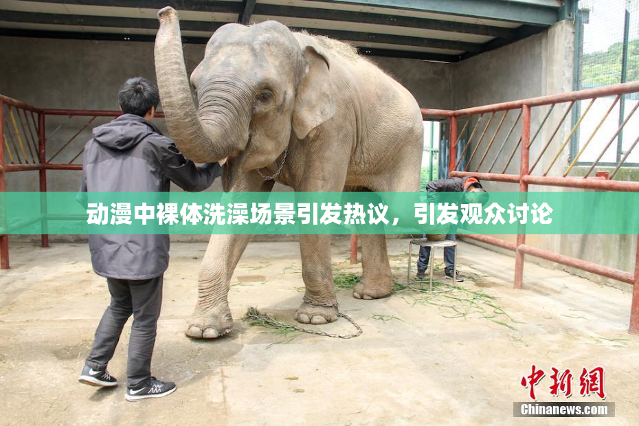 动漫中裸体洗澡场景引发热议，引发观众讨论