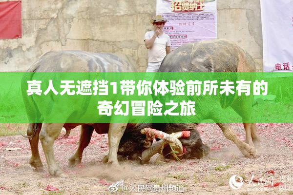 真人无遮挡1带你体验前所未有的奇幻冒险之旅