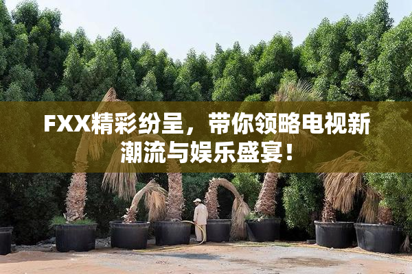 FXX精彩纷呈，带你领略电视新潮流与娱乐盛宴！