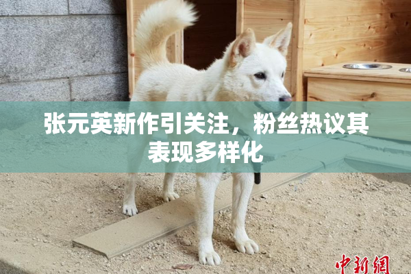 张元英新作引关注，粉丝热议其表现多样化