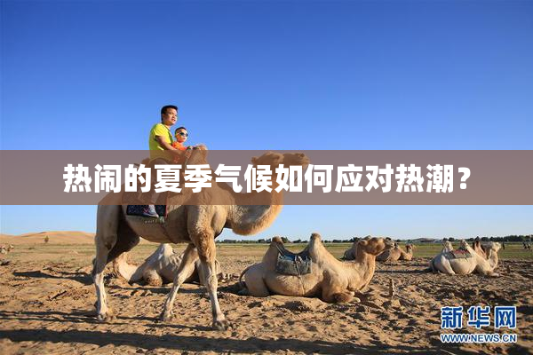 热闹的夏季气候如何应对热潮？
