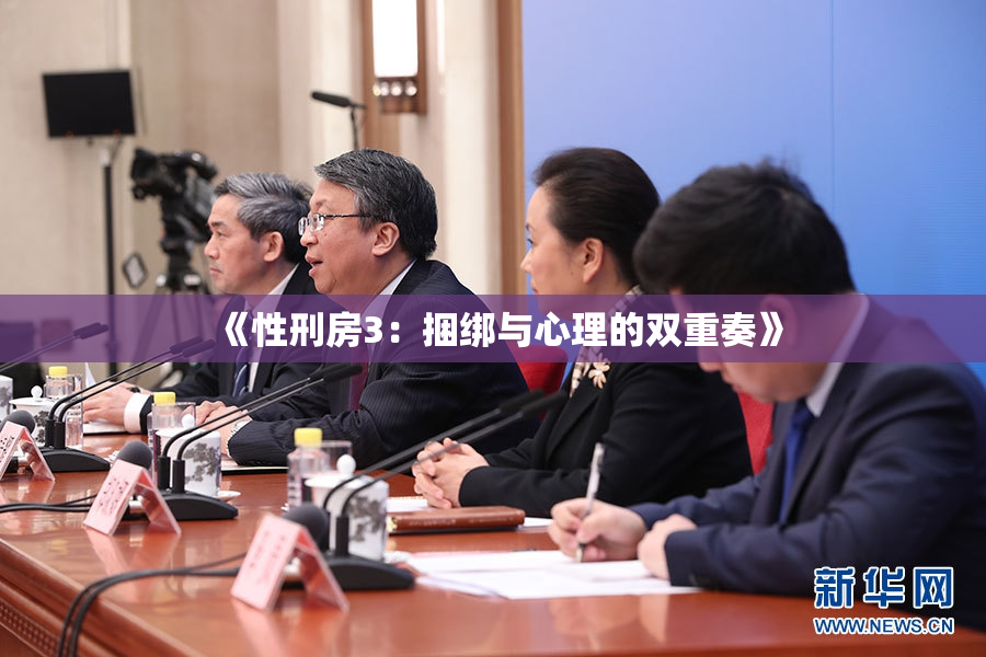 《性刑房3：捆绑与心理的双重奏》