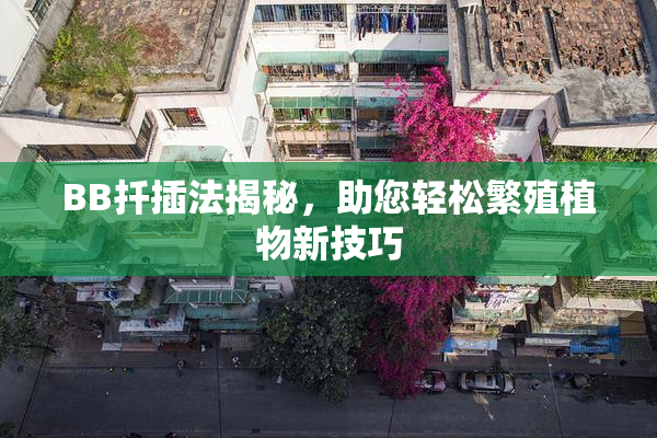 BB扦插法揭秘，助您轻松繁殖植物新技巧
