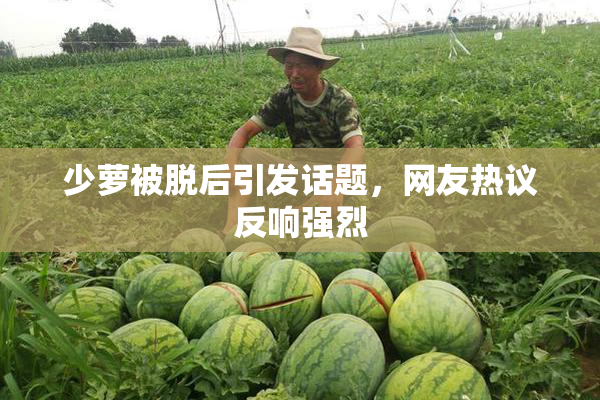 少萝被脱后引发话题，网友热议反响强烈