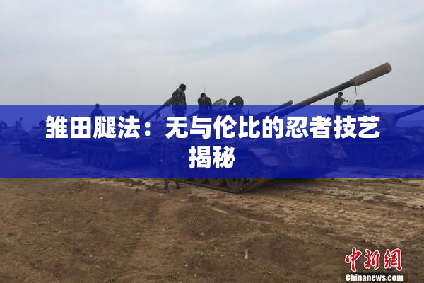 雏田腿法：无与伦比的忍者技艺揭秘