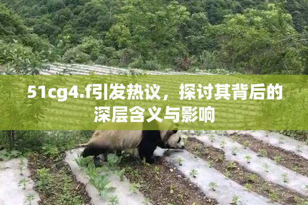51cg4.f引发热议，探讨其背后的深层含义与影响