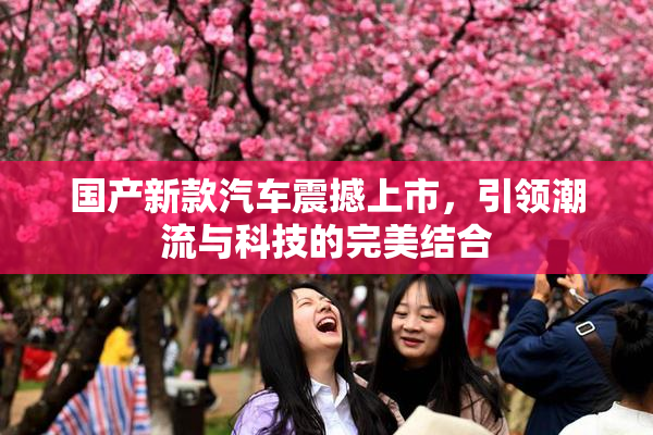 国产新款汽车震撼上市，引领潮流与科技的完美结合