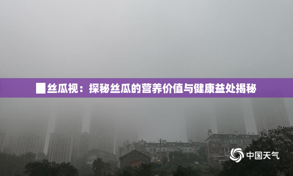 ▉丝瓜视：探秘丝瓜的营养价值与健康益处揭秘