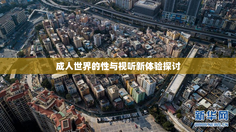成人世界的性与视听新体验探讨