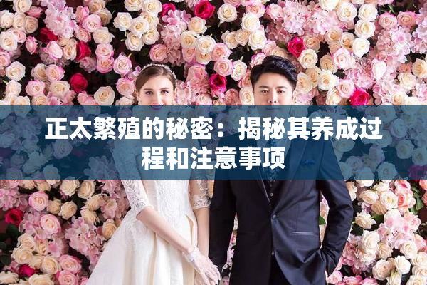 正太繁殖的秘密：揭秘其养成过程和注意事项
