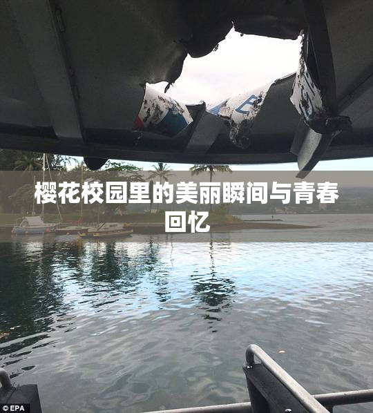 樱花校园里的美丽瞬间与青春回忆