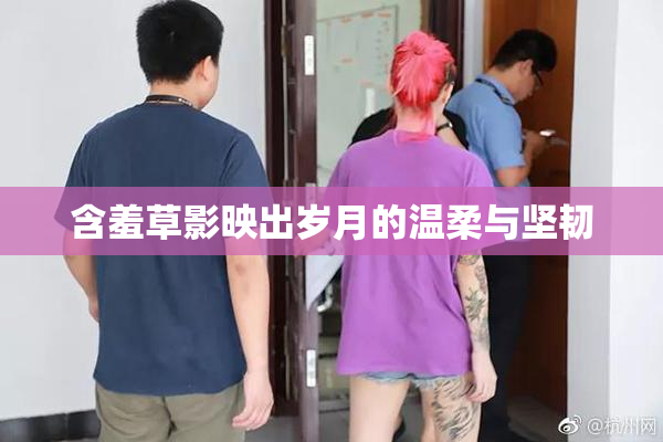 含羞草影映出岁月的温柔与坚韧