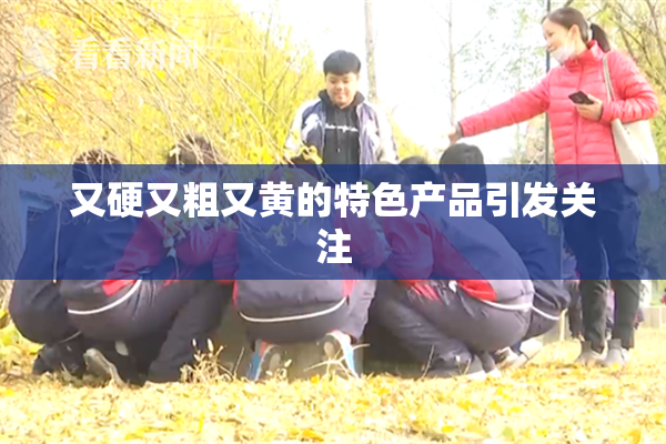 又硬又粗又黄的特色产品引发关注