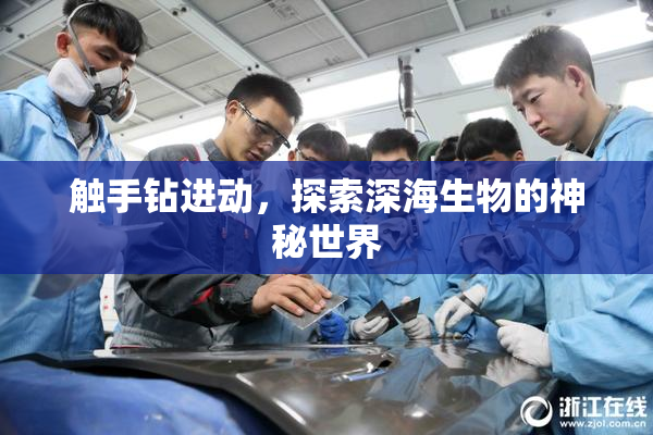 触手钻进动，探索深海生物的神秘世界